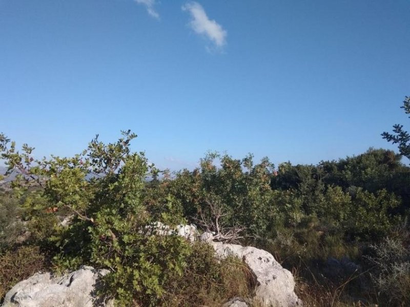 Kokkino Chorio Kreta, Kokkino Chorio: Grundstück mit Panoramablick auf die Landschaft zu verkaufen Grundstück kaufen